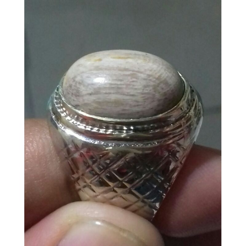 BATU AKIK/BATU CINCIN FOSIL KAYU
