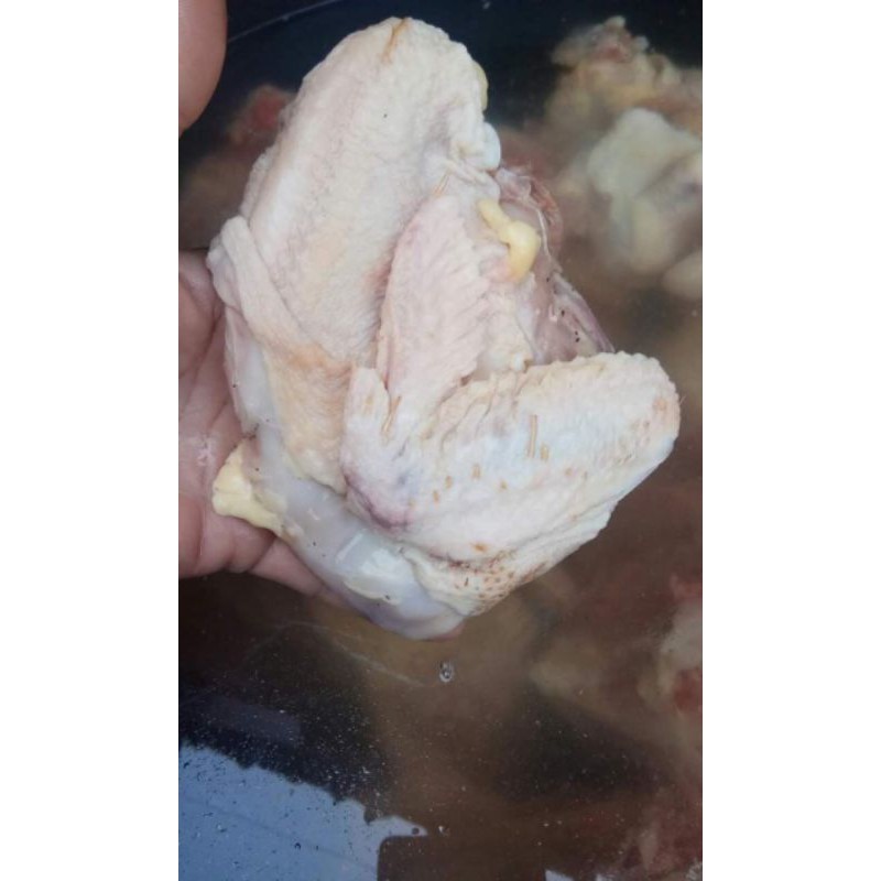 ayam merah harga perpotong