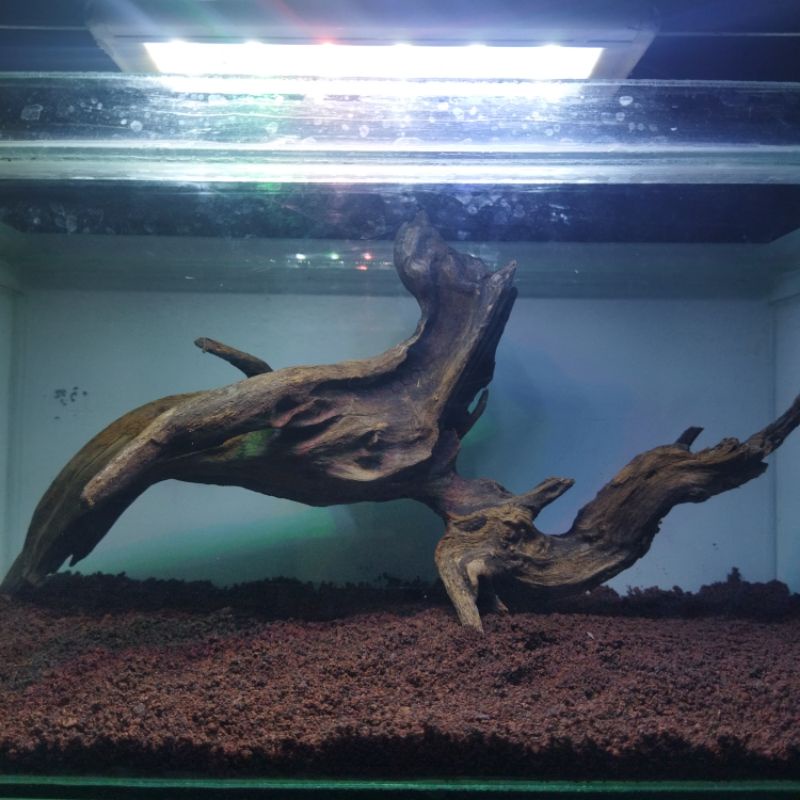 kayu tenggelam akar tenggelam kayu rentek tenggelam