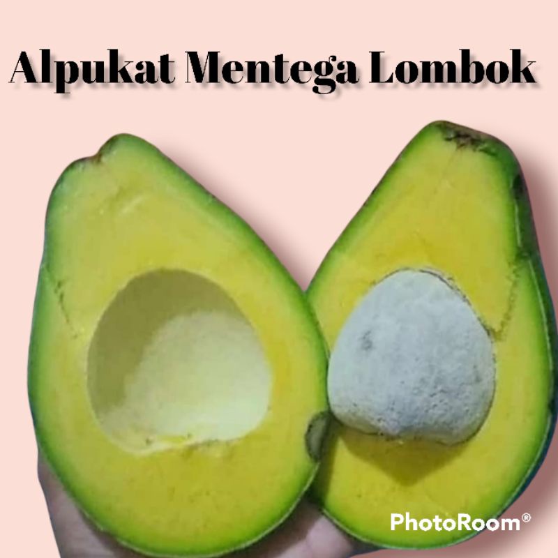 

Alpukat mentega Lombok