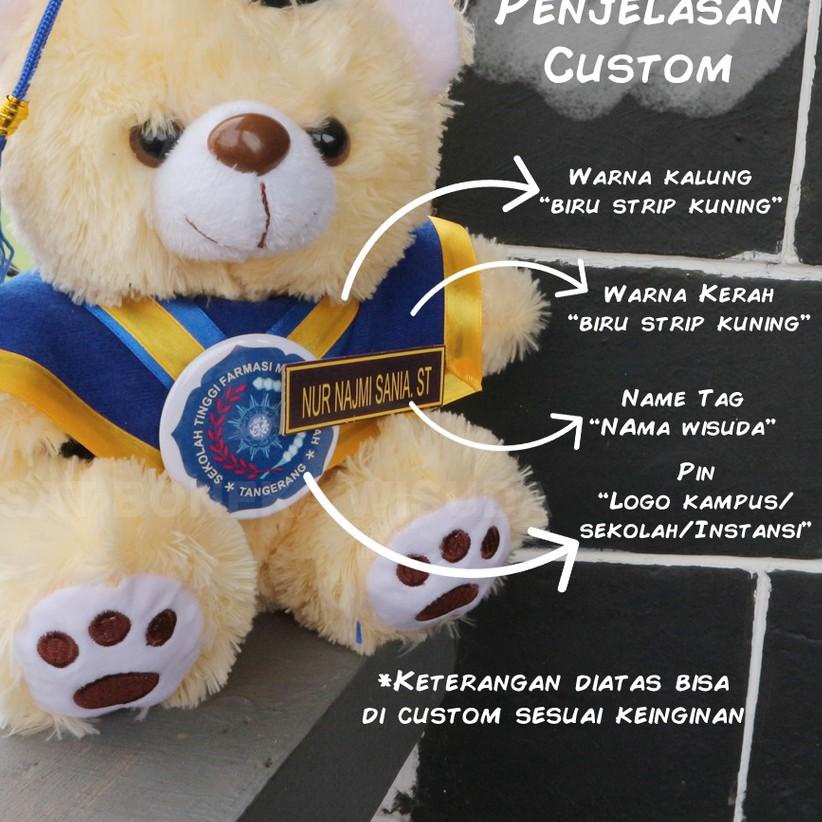 Boneka Wisuda Teddy Bear Ber Tedy Costom Kecil Mini Kado Wisuda Murah Hadiah Ulangtahun Grosir ultah