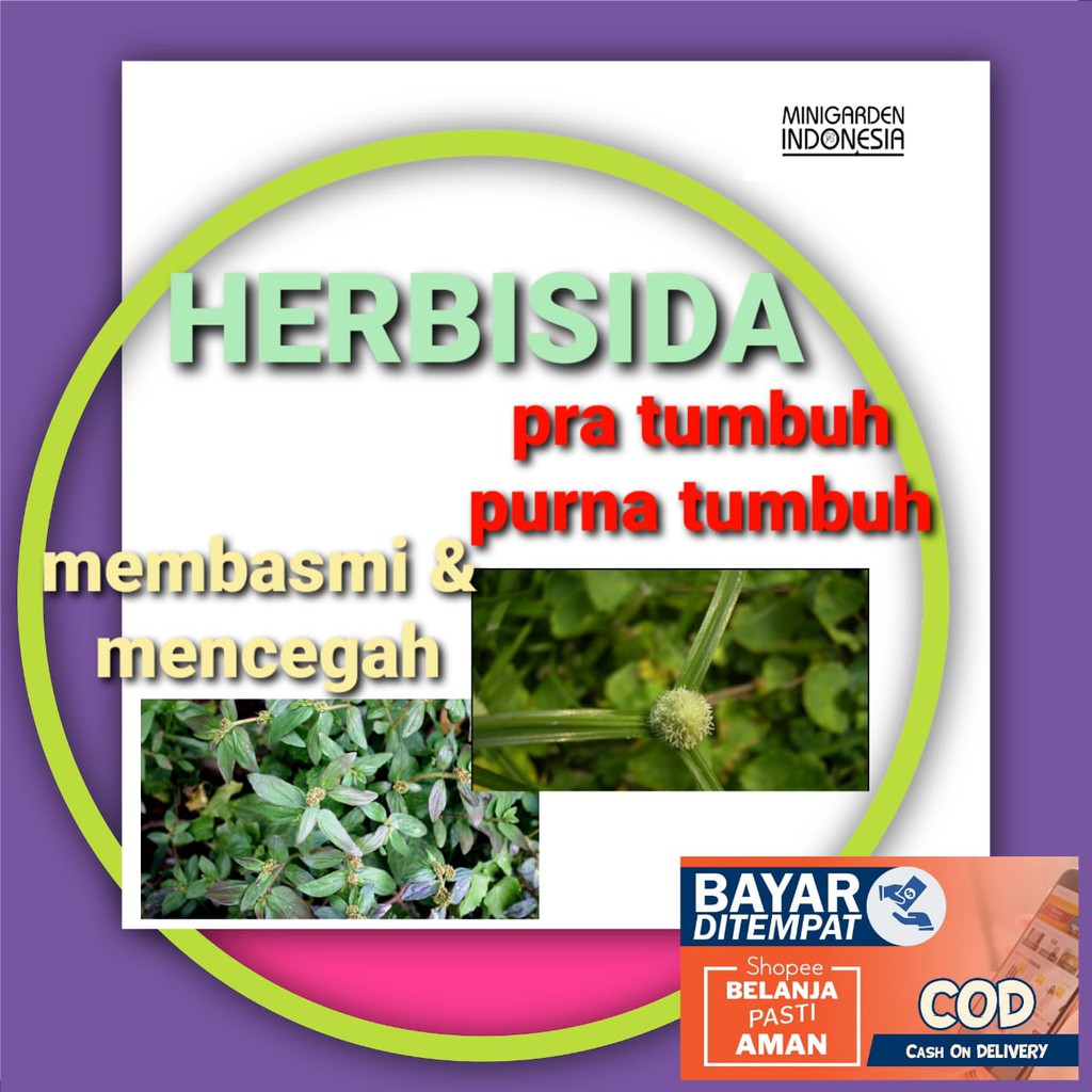 HERBISIDA PRA TUMBUH DAN PURNA TUMBUH PEMBASMI RUMPUT LIAR dan gulma sampai ke akar pencegah rumput