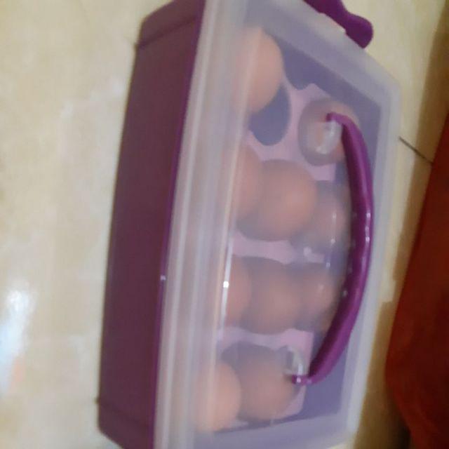 Golden Sunkist Tt 1017 Tempat Telur Wadah Telor Egg Holder Isi 12 Kotak Dengan Tutup Dan Handle