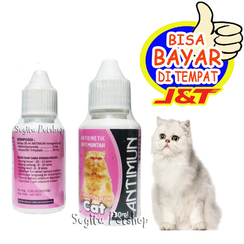 Obat Muntah Kucing Sakit Pencernaan - Antimun