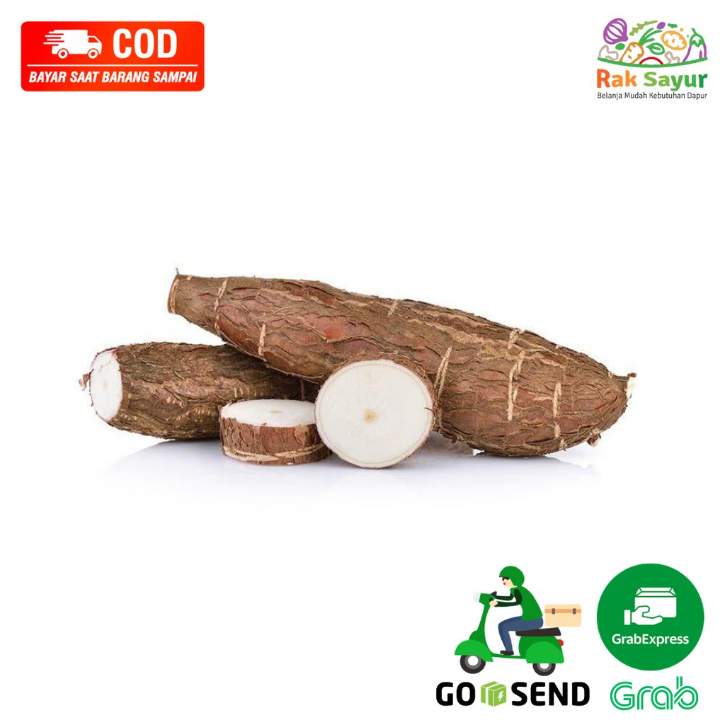 

Sayuran Segar Rak Sayur Padang Fresh Ubi Singkong Ketela Pohon Buah Ubi Kayu 1kg Resep Makan Makanan