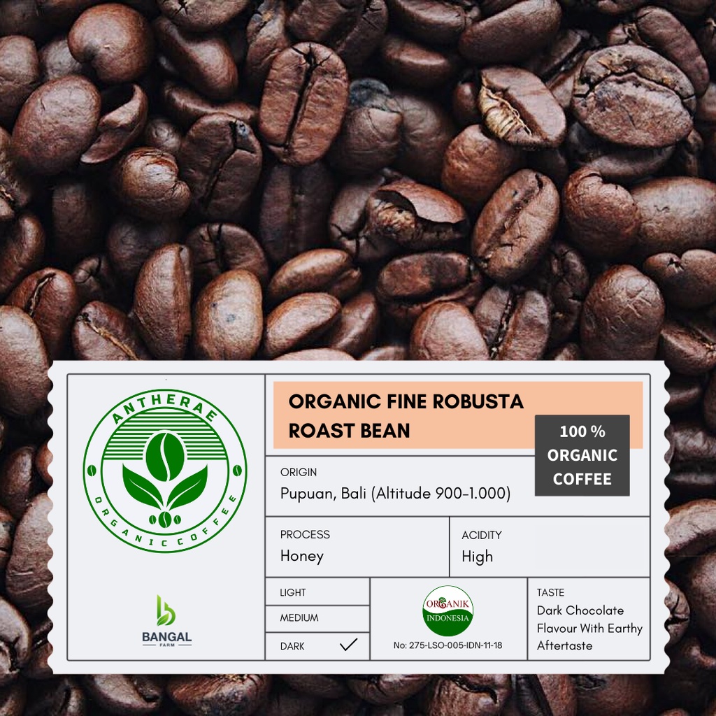 

Robusta Roast Bean - Coffee Organic by Antherae
