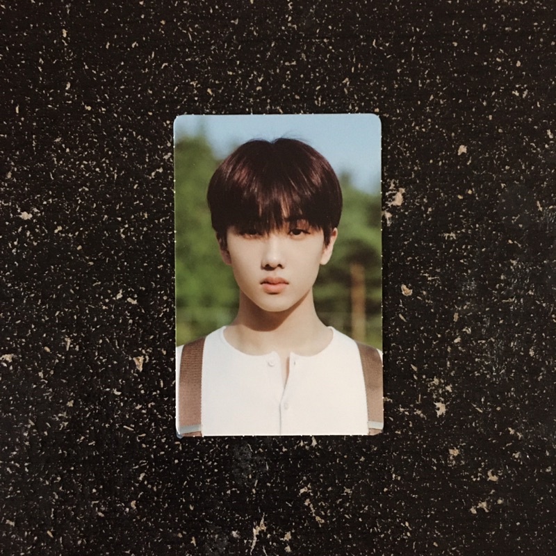 photocard jisung nct dream photobook dream a dream ver 1 dad official murah