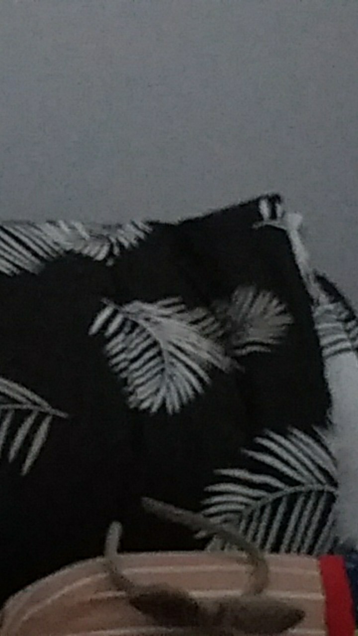 Bed Cover Set Motif Monstera Katun Lokal Star Ukuran King Size Queen Dan Single