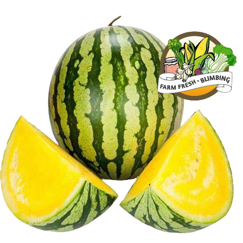 

Semangka Kuning 1 buah