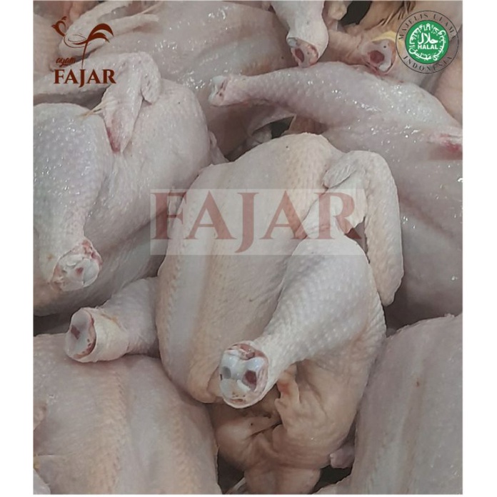 

AYAM KARKAS/KARKAS AYAM SEGAR DAN FRESH UKURAN 1.7-1.8 KG PER/ 1 EKOR