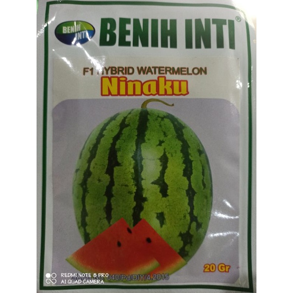 Benih Semangka Berbiji Hibrida F1 NINAKU 20Gr Benih Inti