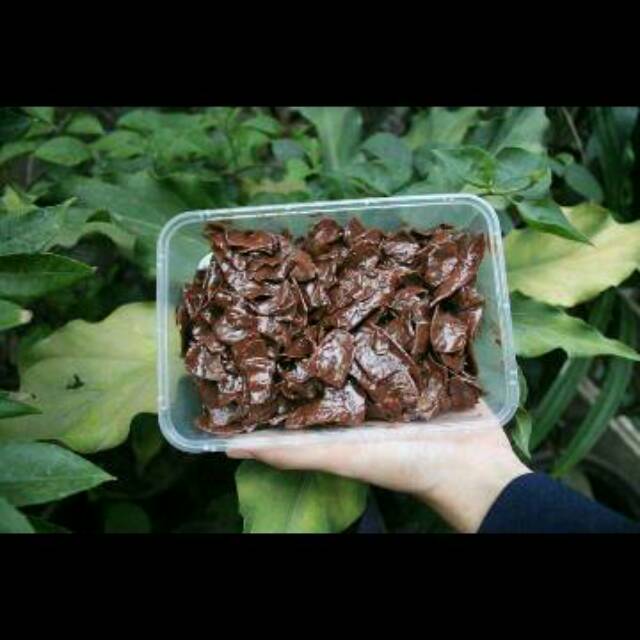 

Pisang coklat liur