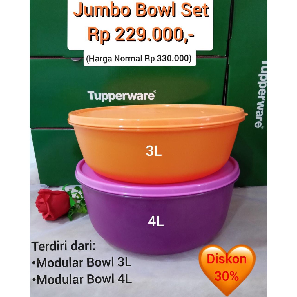 TUPPERWARE JUMBO BOWL SET (2)