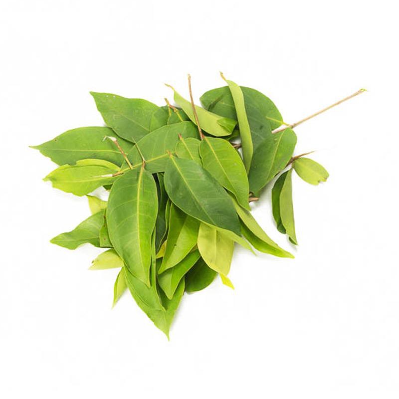 

DAUN SALAM (SE IKAT)