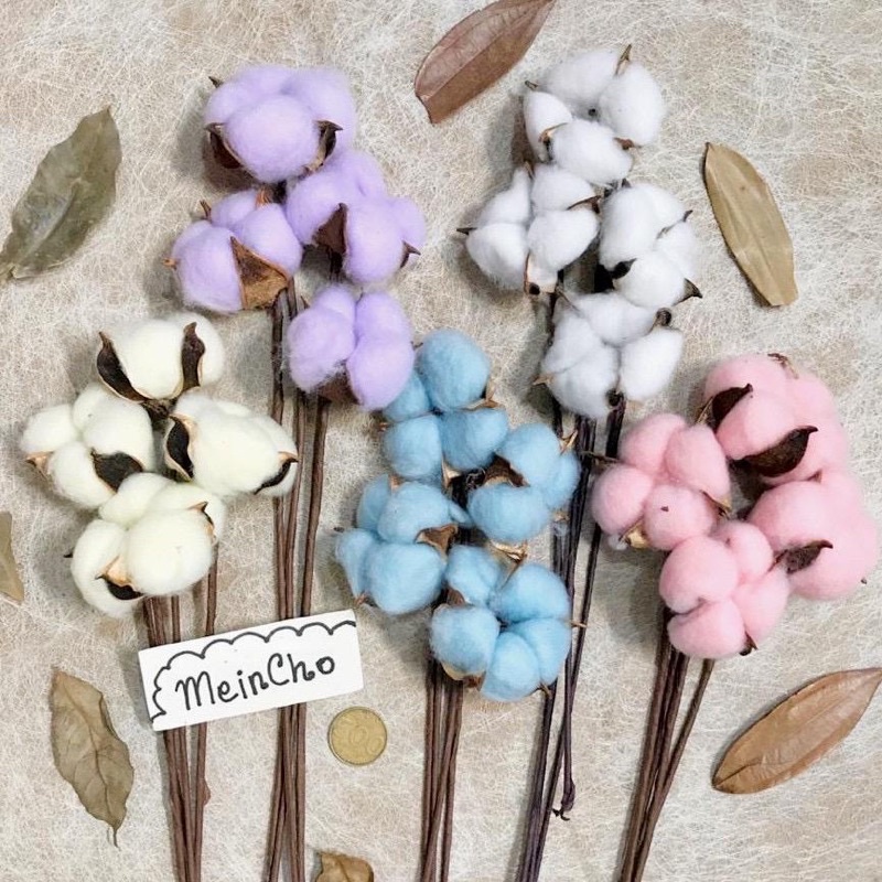(10 tangkai) GROSIR Bunga Kering KAPAS Cotton Flower Flower Rustic Import Aesthetic Rustik