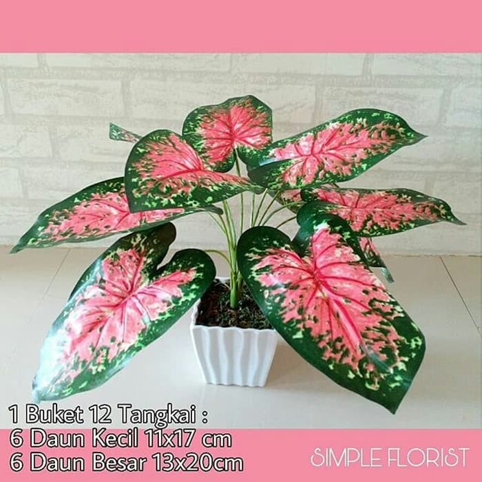 Unik (Daun Saja) Sri Rejeki Merah Daun Artifical Terlaris
