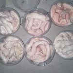 Umpan Galatama Lele Otot Sapi