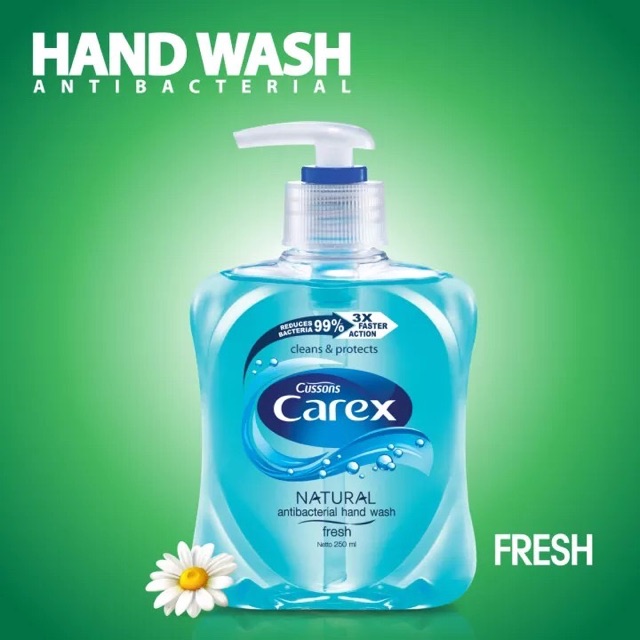 HAND WASH CAREX 250ML