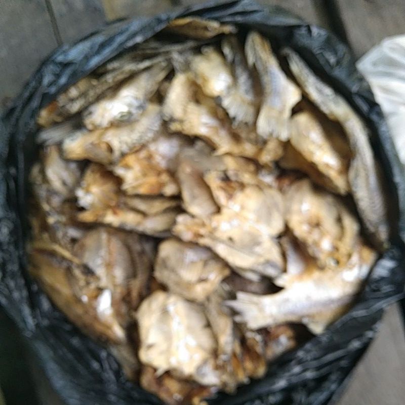 

ikan asin