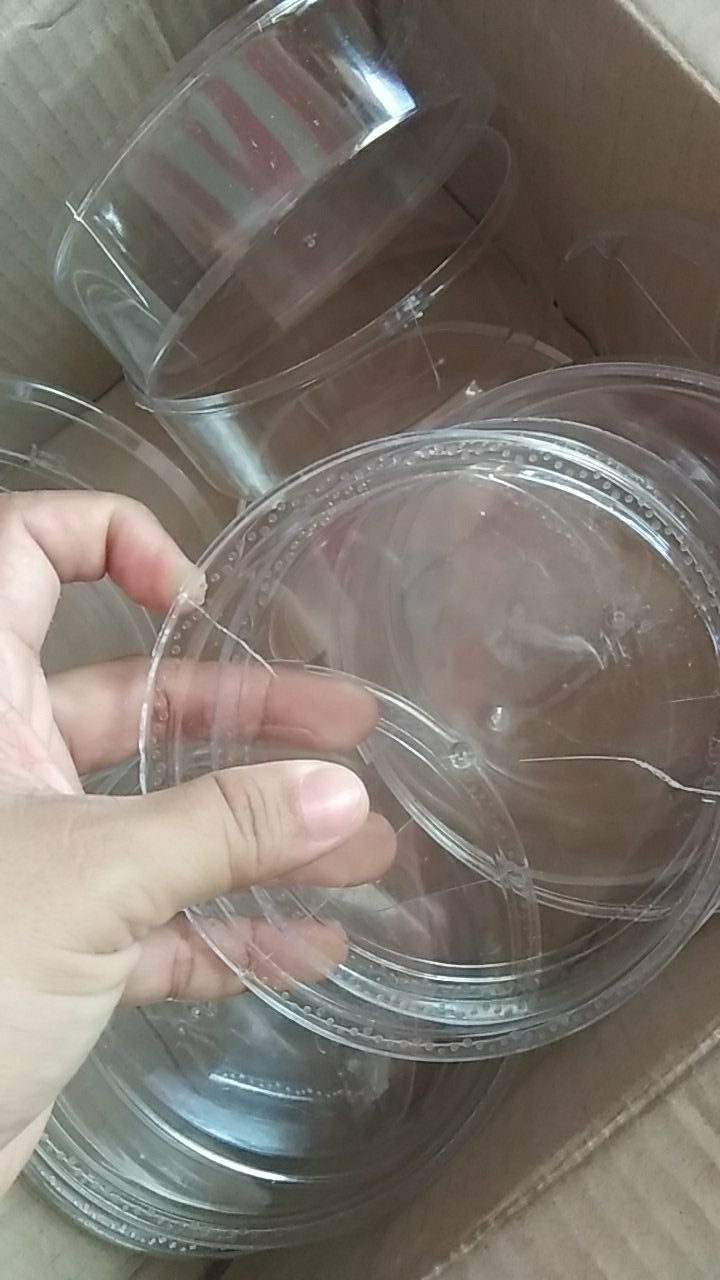 Toples Ld-167 -+250gr 1lusin/1dus