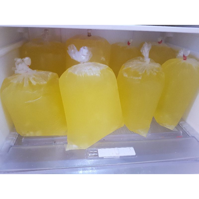 

Putih Telur Fresh Mentah Asli 100% Ready Setiap Hari