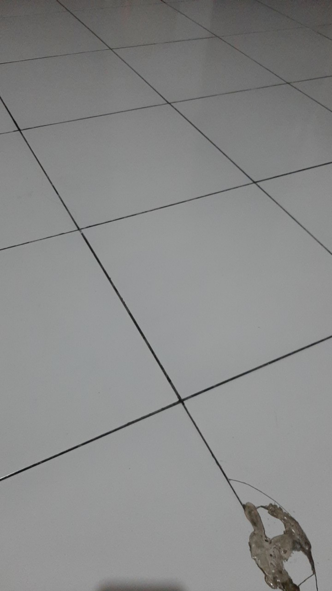 Kotak Makan Tedemei Lunchbox 6948 Set Stainless Steel  / Bpa Free