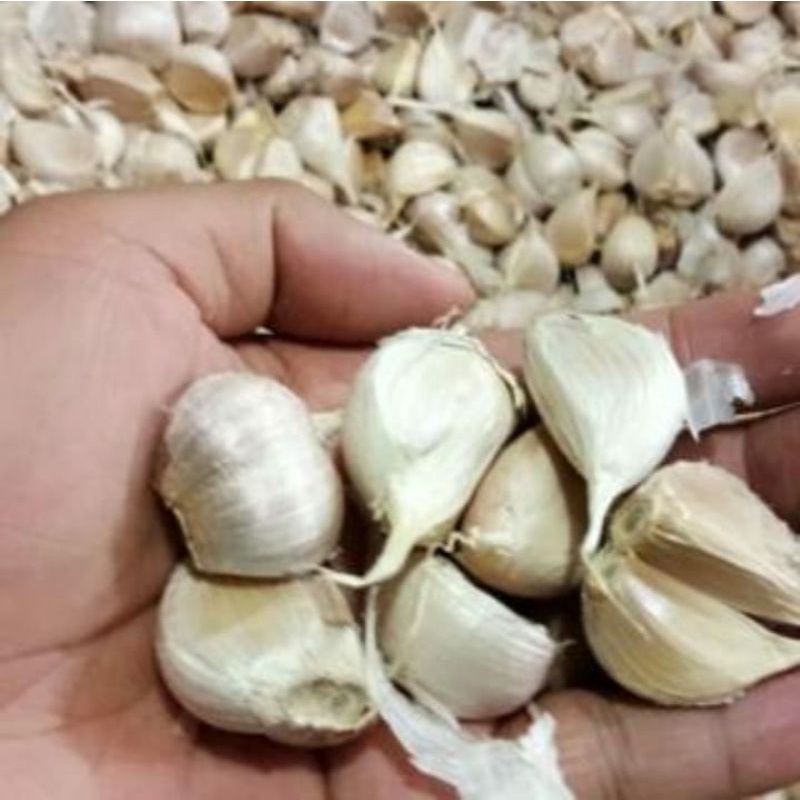 bawang putih kating 500gr