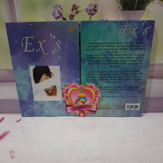 Buku Novel Ex's by Kanin