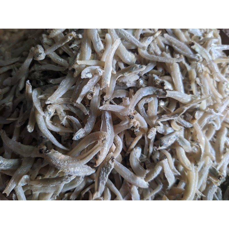 

Teri Buntiau ikan asin buntiaw