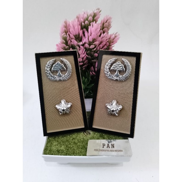 Pangkat PDH ASN Lampung 3A Akrilik Kontur