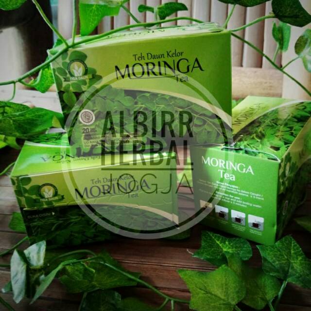 

Teh Herbal Daun Kelor moringa