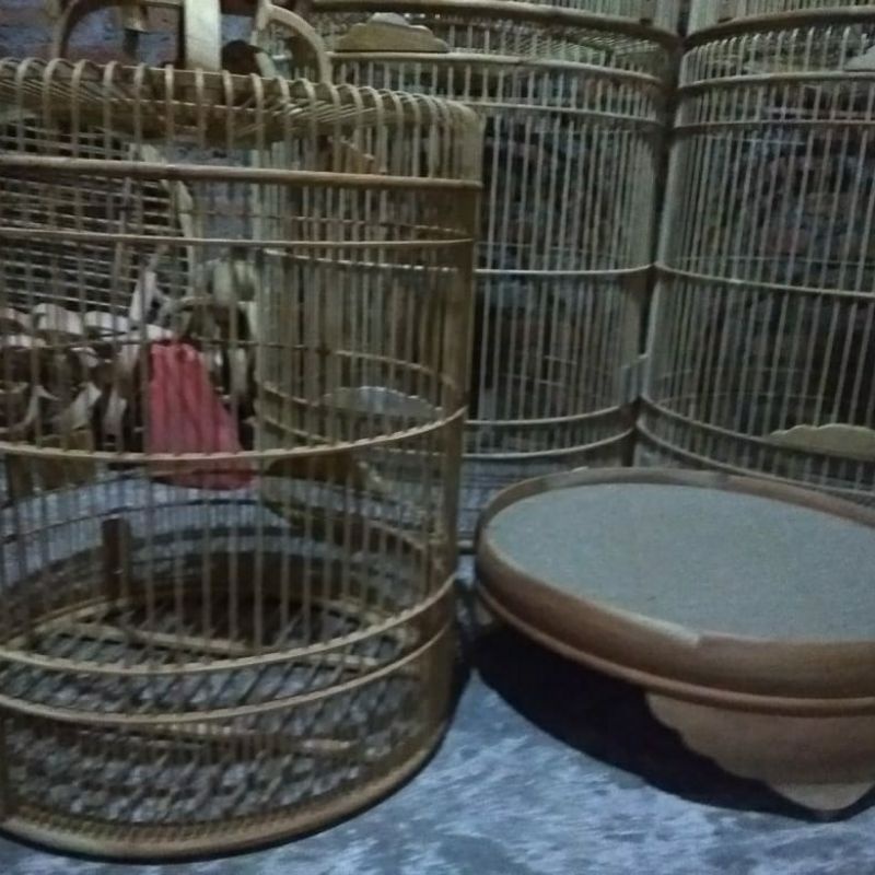 sangkar murai no 3