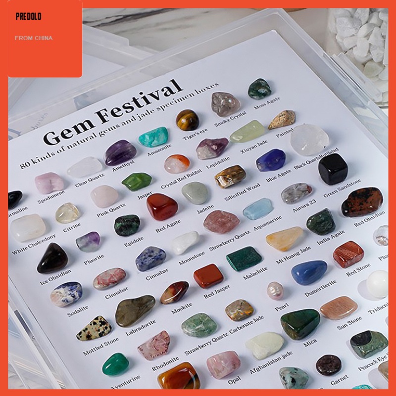 [In Stock] Rock and Gem Collection Geology Gem Kit Science Gift for Birthday Party Kids