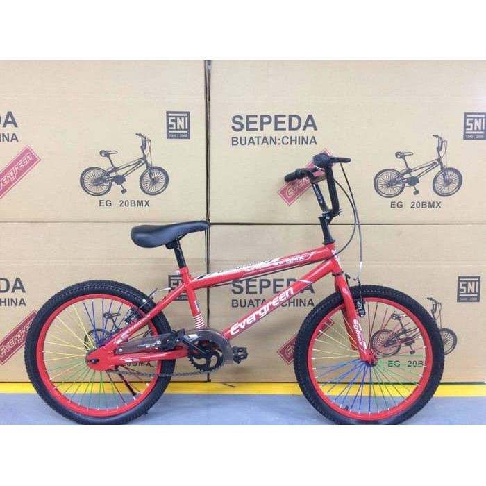 Sepeda anak BMX 20 Evergreen