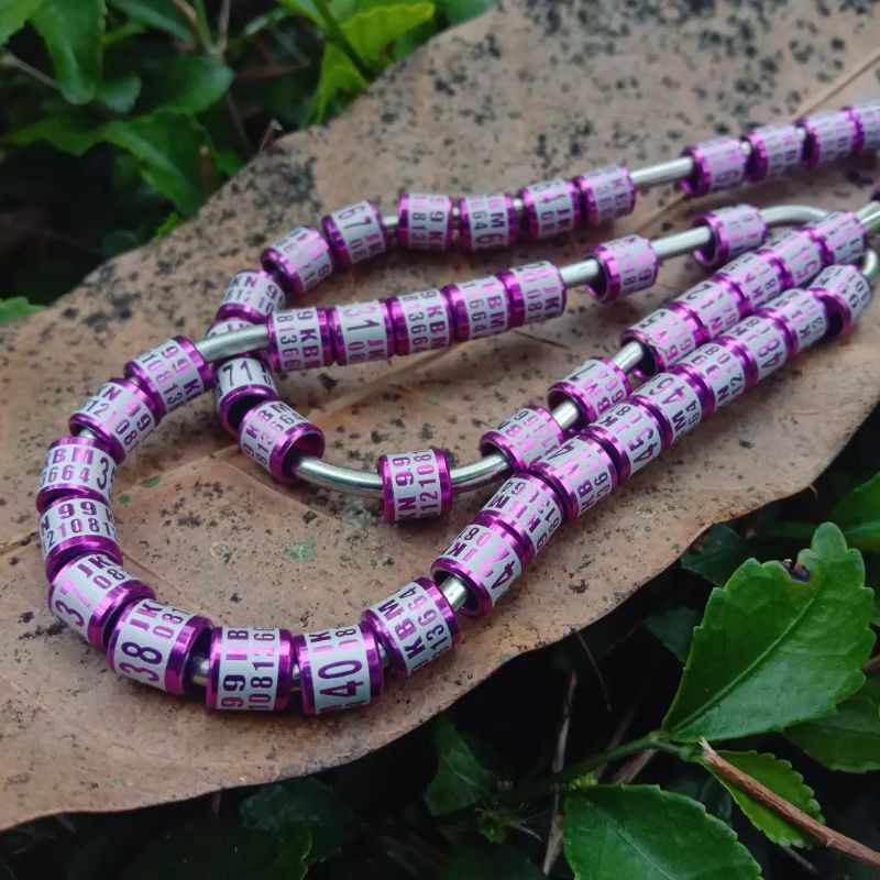 25 BJI RING BURUNG MURAI BATU/CINCIN MURAI BATU/GELANG MURAI BATU/RING MURAI BATU BERKICAU/ASESORIS 