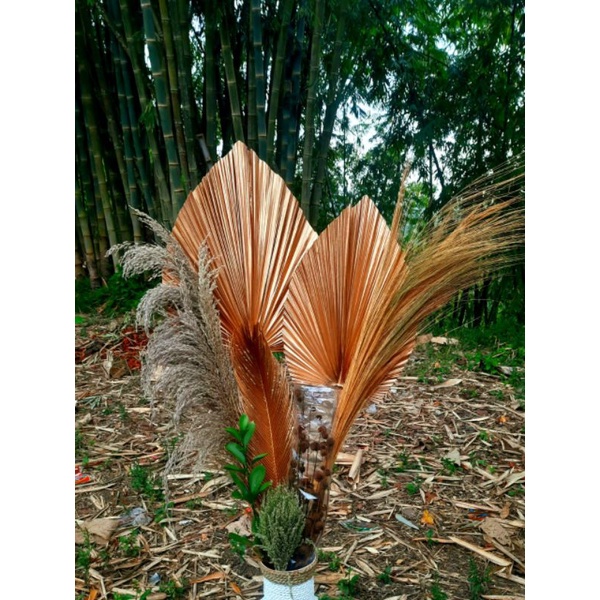 bunga kering tanpa vas/pot/bunga kering/bunga kering aesthetick/bunga kering dekorasi/dekorasi rusti