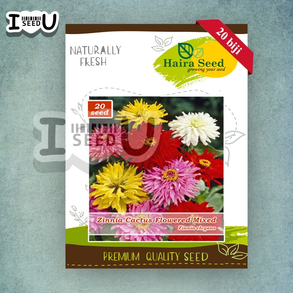 Haira Seed Bibit-Biji Bunga Zinnia Cactus Folowered Mix