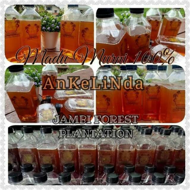 

Madu murni asli jambi