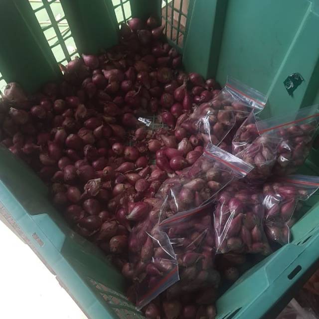 

Bawang merah Brebes Super kupas ukuran besar per kg