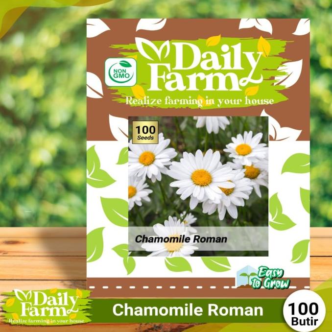 Benih Bunga Chamomile Roman - Benih Bunga Krisan - Daily Farm