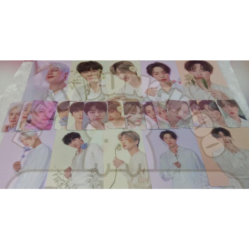 Sharing Set CANDYLAB X NCT DREAM VERSI 4 FULL BLOOM pc selca Jaemin/Jeno/Renjun/Jisung/Chenle