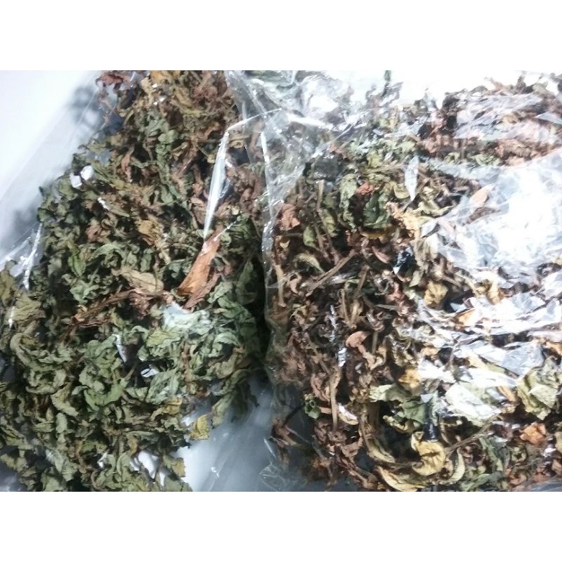 

DAUN KESUM/LAKSA KERING KEMASAN 100 GRAM