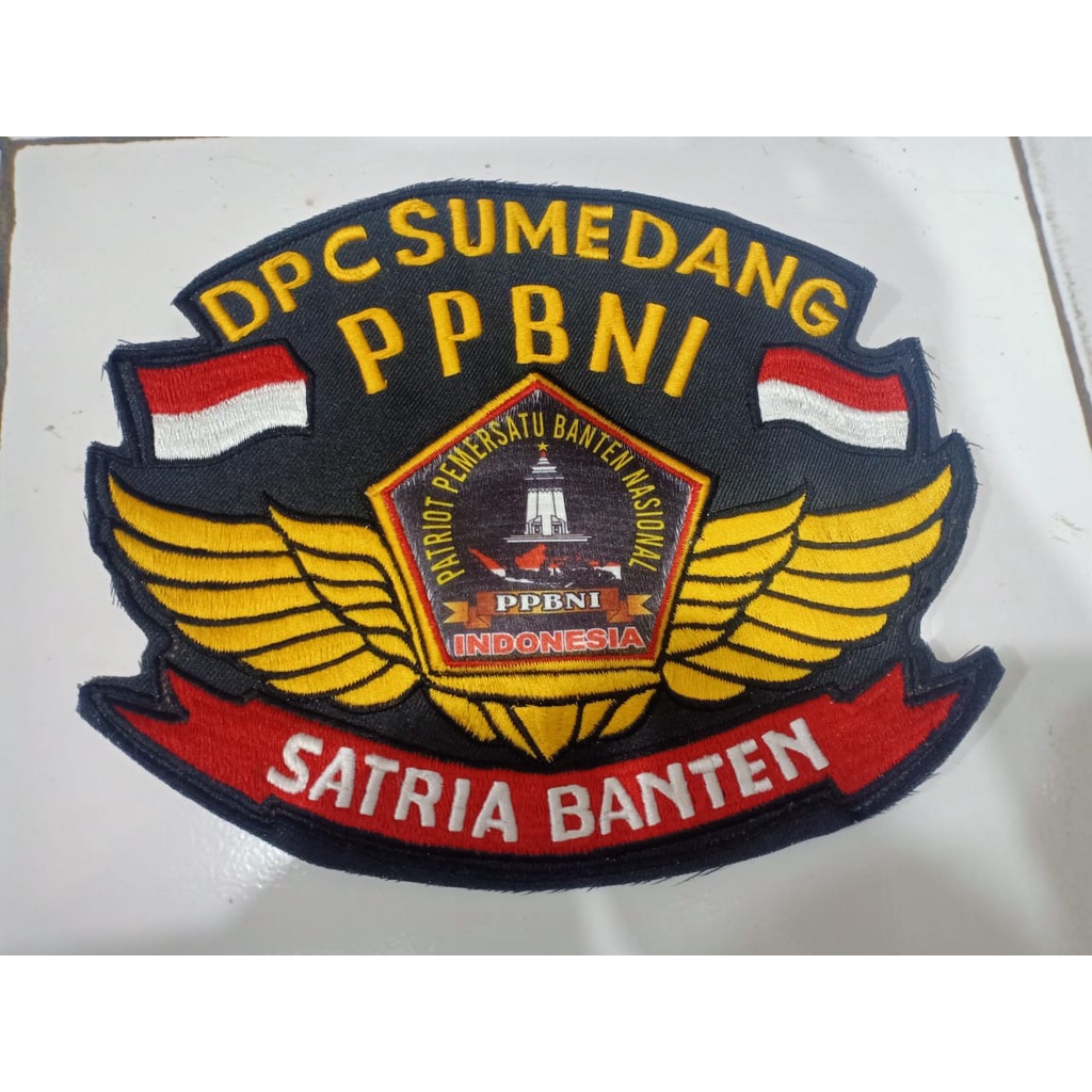 WINGS PPBNI