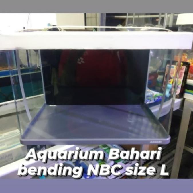 Buruan Serbu] Aquarium Bahari Mini Nbc Size L P:40Cm Bending Kaca Lengkung