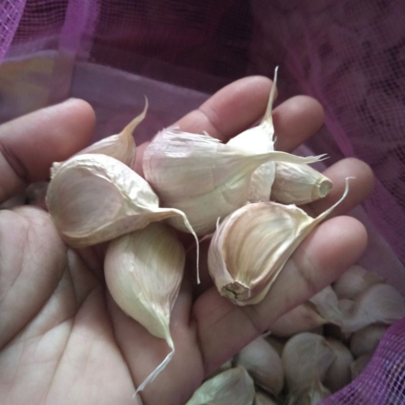 

Bawang Putih Kating Bersih 1kg