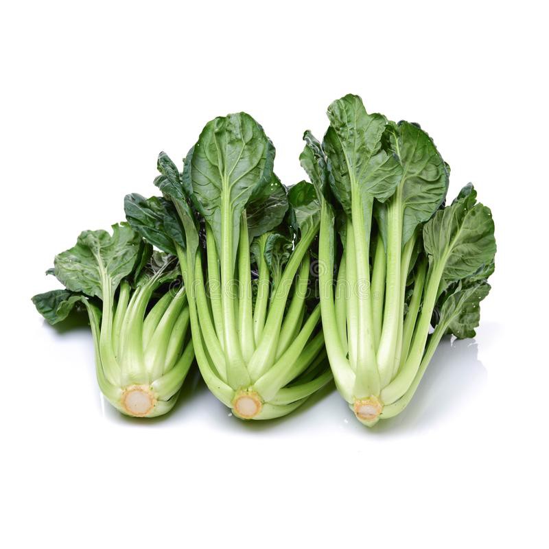 Benih Bibit Biji - Sawi Tatsoi Pagoda Sayur Ta Ke Cai (Rosette Bok Choy) Seeds - Panen Dalam 40 Hari