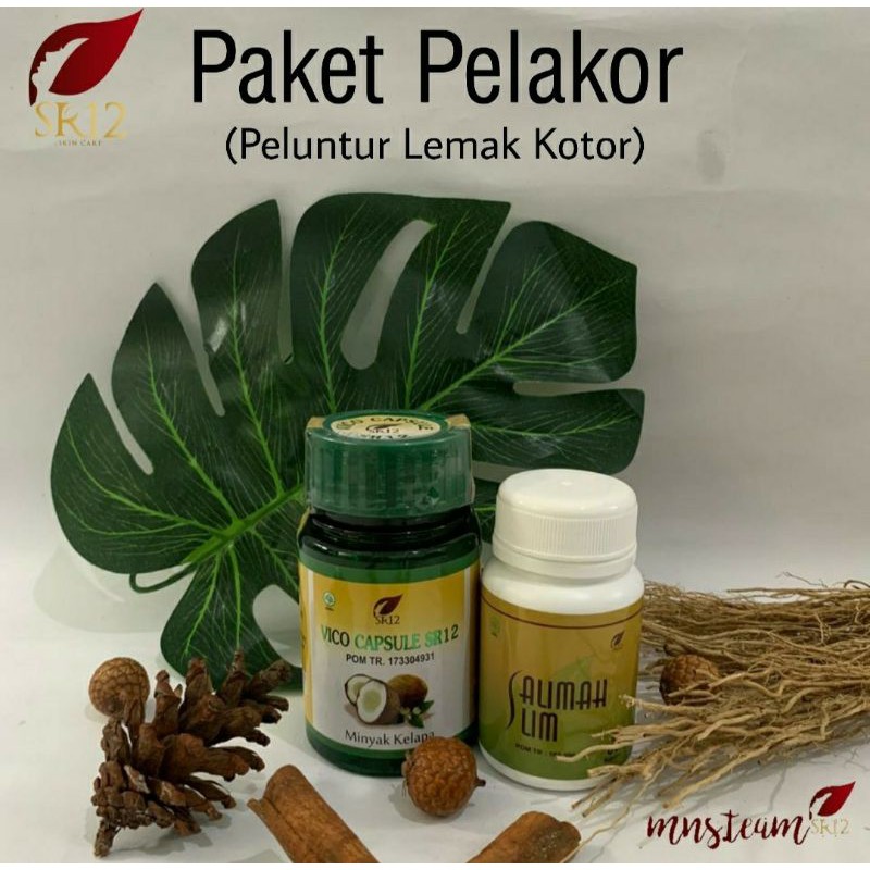 sr12 paket pelakor