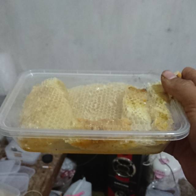 

Madu Sarang Asli Murni