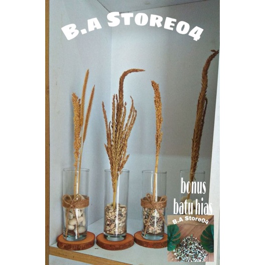 Bonus Batu Hias Vas Silinder Vas Kaca Vas Bunga Pot Tanaman Air Vas