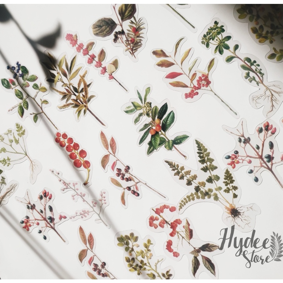 

[Share] Deco forest tree fruit sticker for journaling scrapbook kit
